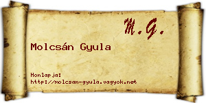 Molcsán Gyula névjegykártya